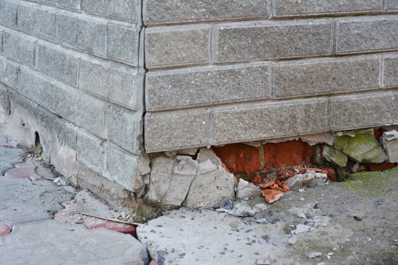 Foundation Damage Repair